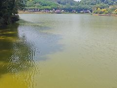 -滴水岩森林公园