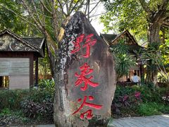 -野象谷景区