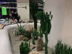 -OUR Bakery(SKP-S店)