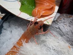 -匠和风精致料理(春熙路群光广场店)