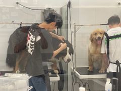 -comecome来吧宠物(奥克斯中心店)