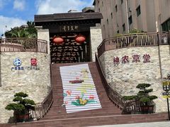 -广州神农草堂中医药博物馆