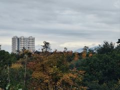 -北山公园