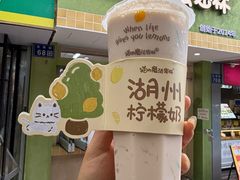 -猫的魔法密林(衣裳街店)