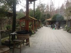 -青城甲(青城山店)