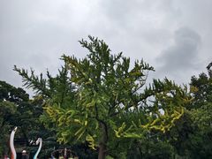 -昆明动物园