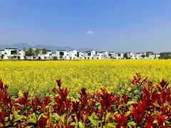 -东梓关景区村庄