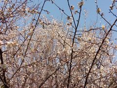 -白塘生态植物园