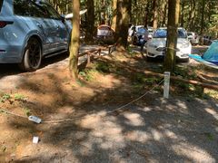 -重庆睡佛山森林公园