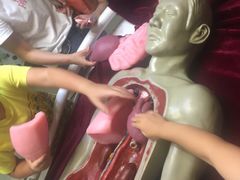 -陕西自然博物馆