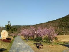 -石塘人家