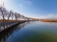 -野鸭湖国家湿地公园