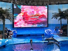 -海合安成都极地海洋公园