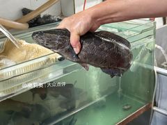 -大理.老字号渝记酸萝卜乌鱼(古城总店)