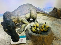 -国家自然博物馆