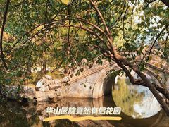 -复旦大学附属华山医院(总院)