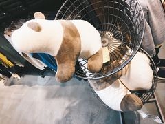-MUJI无印良品(杭州万象城店)