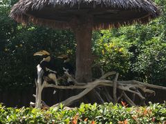 -上海野生动物园