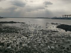 -烟墩角天鹅湖