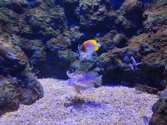 -郑州海洋馆