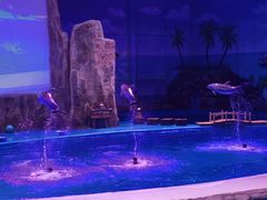 -华夏文旅海洋公园