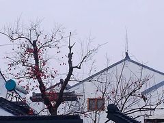-北寺塔