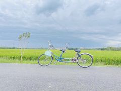 -嘉北郊野公园