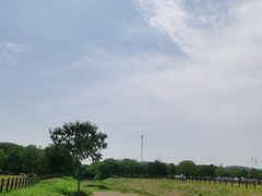 -山明水秀大饭店