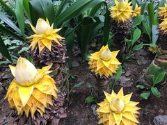 -华南国家植物园-售票处