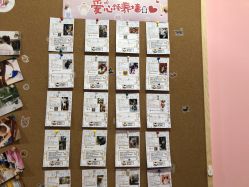 -doladola(徐家汇店)