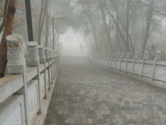 -老君山