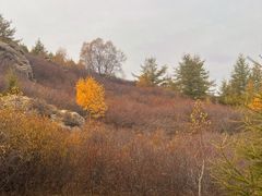 -苏木山森林公园