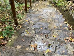 -天女山森林公园