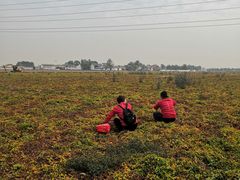 -解家河南菜(商鼎路店)