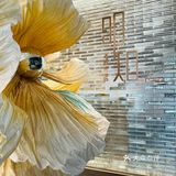 广州这家氛围西餐厅好有艺术感[色]