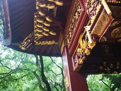 -汇龙潭