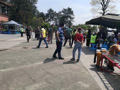 -铁山坪森林公园