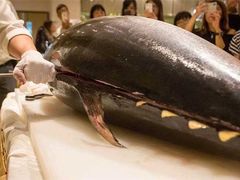 -御瀛日本料理