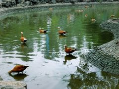 -森林公园(尖草坪区)