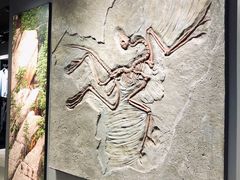 -三夫户外(天钥桥路店)