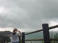 -广东惠东海龟国家级自然保护区