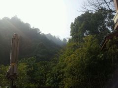 android_upload_pic-十八棵（老龙井）御茶园(老龙井店)