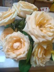 -FineYoga梵音瑜伽·普拉提