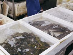 -三旗百汇商品城