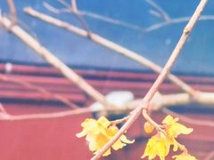 -钱王祠
