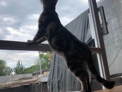 -VOYAGE COFFEE(北锣鼓巷店)