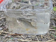 -蓝天路(地铁站)