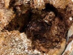 -马克西姆餐厅(崇文门店)