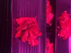 -牛吉韵·鲜切牛肉自助火锅(南山店)