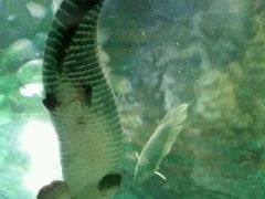 -福州罗源湾海洋世界旅游区